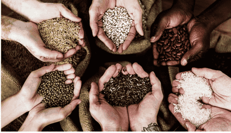 Untitled design (21)